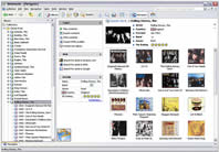 music organizer software