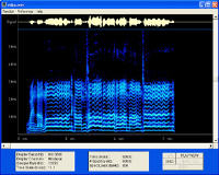 Audio Spectrum Analysis
