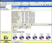 OLAP Reporting Tool for Excel