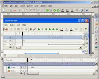 ScreenFlash Professional