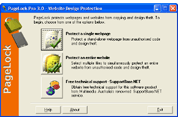 PageLock Website Copy Protection