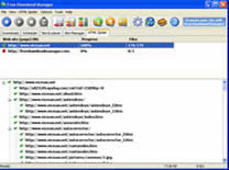 Free Download Manager