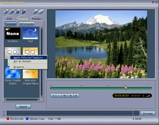 Mpeg Video Wizard    -  3