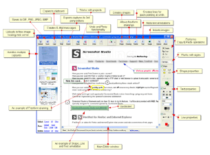 FireShot Pro for Internet Explorer