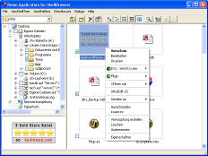 ShellBrowser ActiveX Controls
