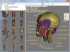 3D Human Anatomy Software