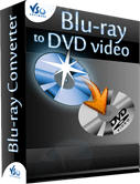 Blu-ray to DVD Converter