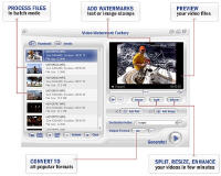 Video Watermark Factory