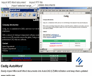 AutoWord for AutoCAD