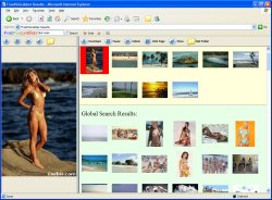picture search software