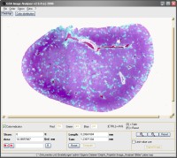 GSA Image Analyser