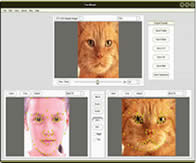 hoto morphing and warping software