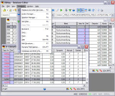 DBMax Datenbank Editor