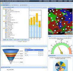 Dynamic Dashboards Professional