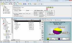 Disk Triage Professional