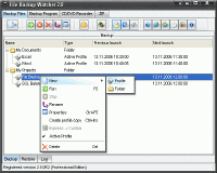 File Backup Watcher Pro