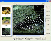 X360 Tiff Image Processing ActiveX Control