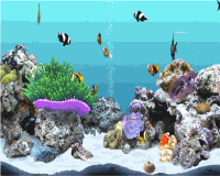 DigiFish Clownfish