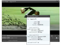 FLV Player