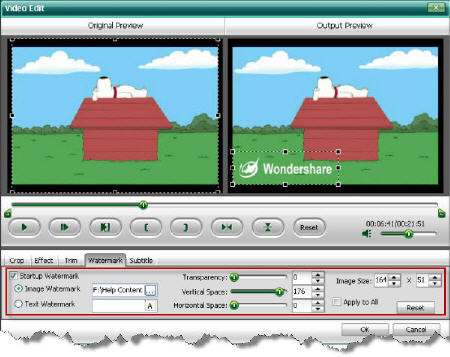 convert DVD to Netbook.