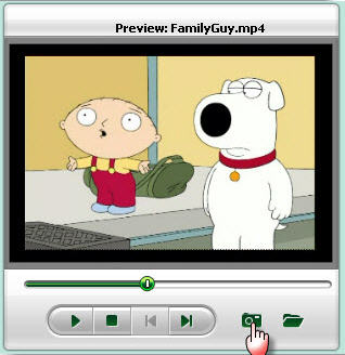 convert DVD to Netbook.