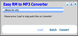 Easy RM to MP3 Converter