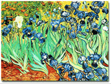 Van Gogh Screen Saver for Mac