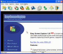 Easy Screen Capture
