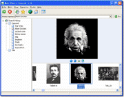 Web Photo Search