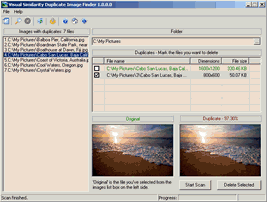 Visual Similarity Duplicate Image Finder