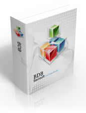 Database Design Tool BDB