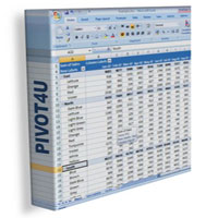 Pivot4U Excel Add-in