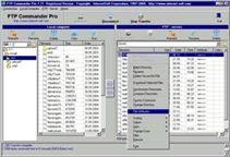 FTP Commander Pro