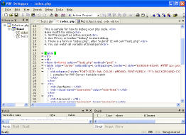 PHP Debugger