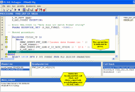 PL/SQL Debugger