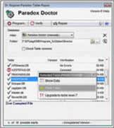 Paradox Doctor 